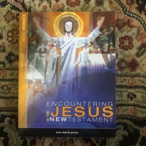 Encountering Jesus in the New Testament